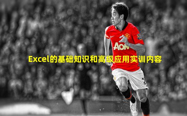 Excel的基础知识和高级应用实训内容