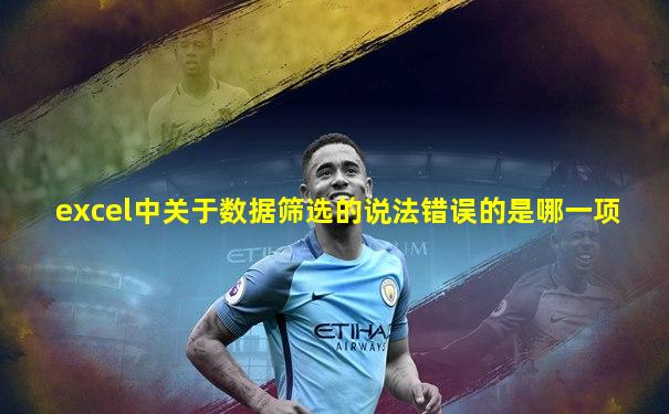 excel中关于数据筛选的说法错误的是哪一项