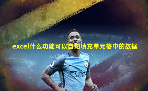excel什么功能可以自动填充单元格中的数据