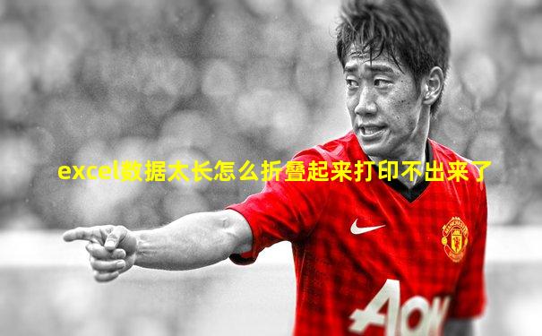 excel数据太长怎么折叠起来打印不出来了