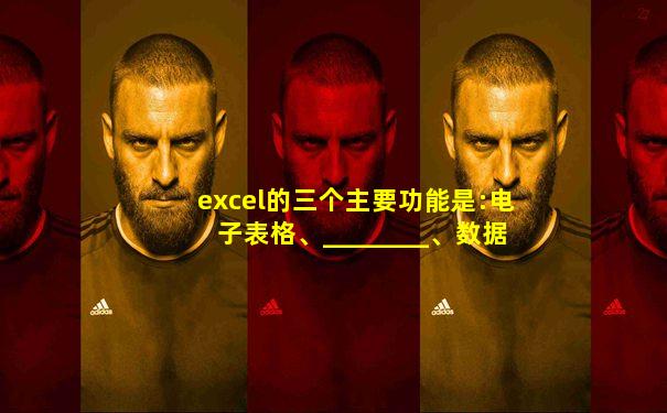 excel的三个主要功能是:电子表格、________、数据库