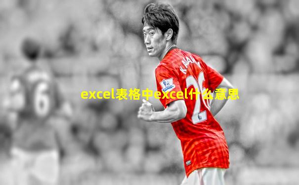excel表格中excel什么意思