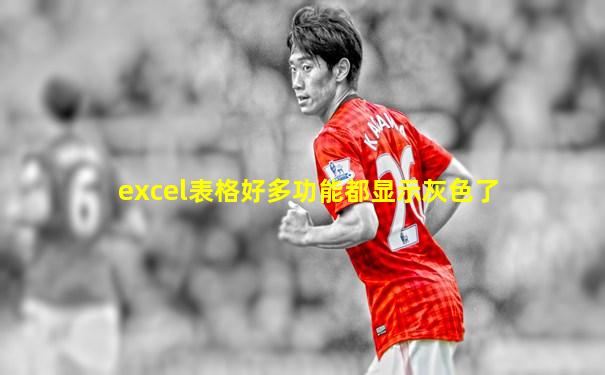 excel表格好多功能都显示灰色了