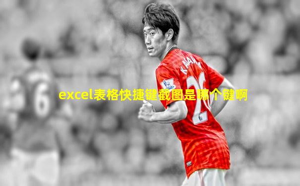excel表格快捷键截图是哪个键啊
