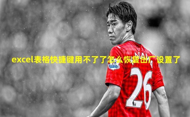 excel表格快捷键用不了了怎么恢复出厂设置了