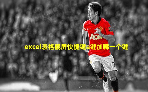 excel表格截屏快捷键a键加哪一个键