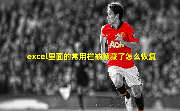 excel里面的常用栏被隐藏了怎么恢复