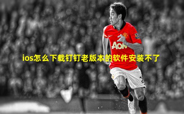 ios怎么下载钉钉老版本的软件安装不了