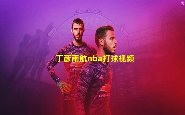 丁彦雨航nba打球视频