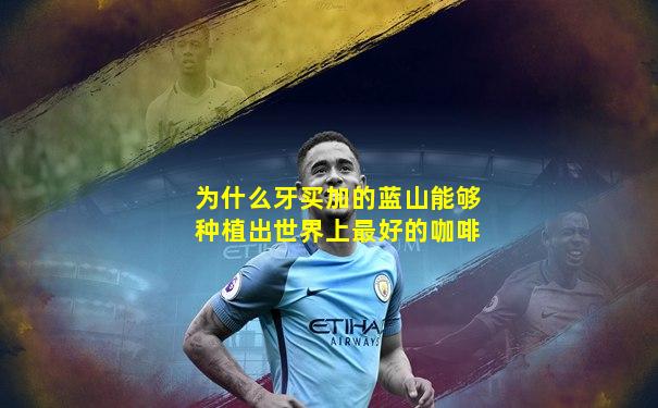 为什么牙买加的蓝山能够种植出世界上最好的咖啡