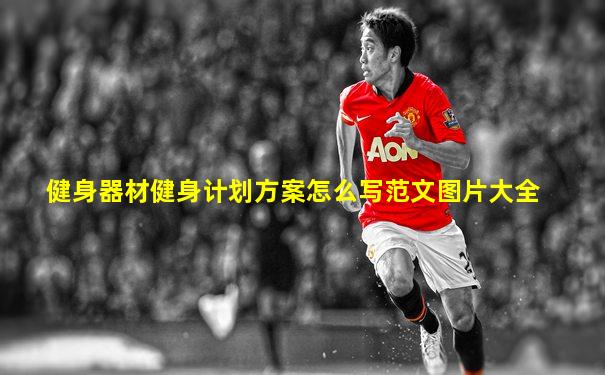 健身器材健身计划方案怎么写范文图片大全