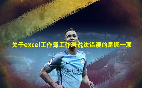 关于excel工作簿工作表说法错误的是哪一项