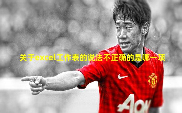 关于excel工作表的说法不正确的是哪一项