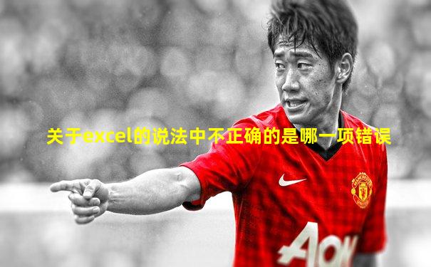 关于excel的说法中不正确的是哪一项错误