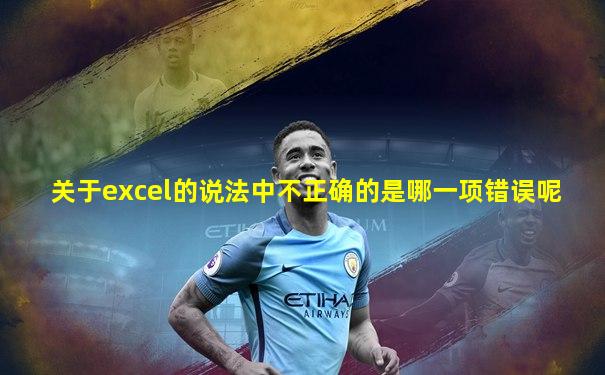 关于excel的说法中不正确的是哪一项错误呢
