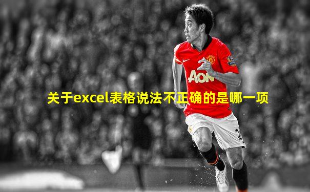 关于excel表格说法不正确的是哪一项
