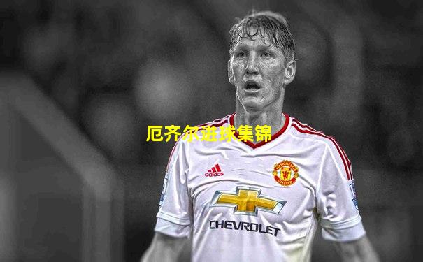 厄齐尔进球集锦