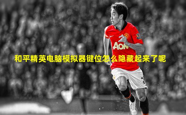 和平精英电脑模拟器键位怎么隐藏起来了呢
