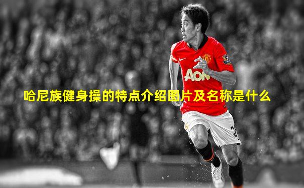 哈尼族健身操的特点介绍图片及名称是什么