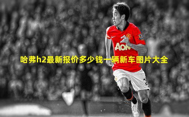 哈弗h2最新报价多少钱一辆新车图片大全