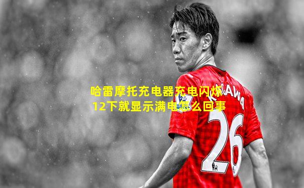 哈雷摩托充电器充电闪烁12下就显示满电怎么回事