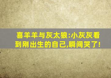 喜羊羊与灰太狼:小灰灰看到刚出生的自己,瞬间哭了!