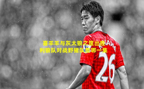 喜羊羊与灰太狼之筐出胜利狼队对战野猪队是哪一集