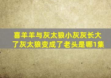 喜羊羊与灰太狼小灰灰长大了灰太狼变成了老头是哪1集