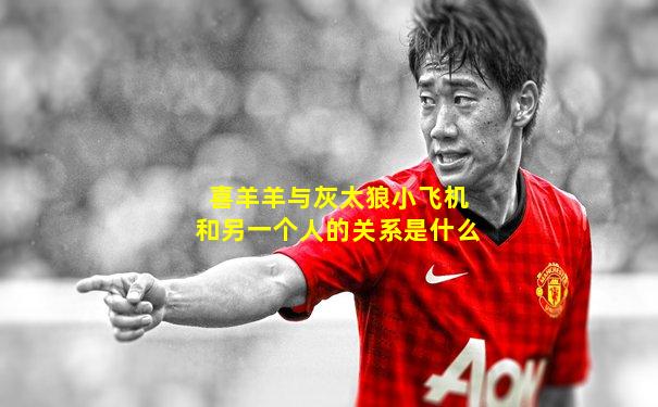 喜羊羊与灰太狼小飞机和另一个人的关系是什么