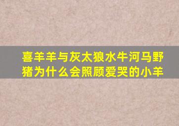 喜羊羊与灰太狼水牛河马野猪为什么会照顾爱哭的小羊