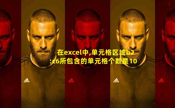 在excel中,单元格区域b2:c6所包含的单元格个数是10个