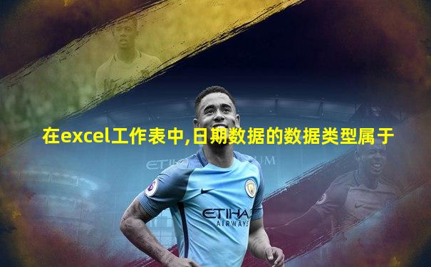 在excel工作表中,日期数据的数据类型属于