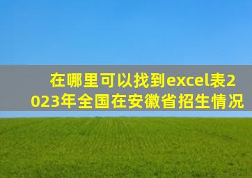 在哪里可以找到excel表2023年全国在安徽省招生情况