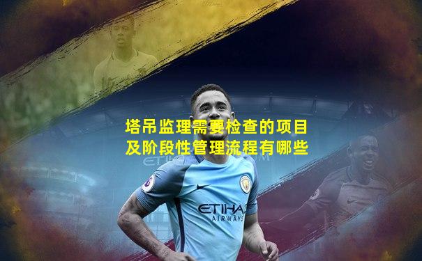 塔吊监理需要检查的项目及阶段性管理流程有哪些