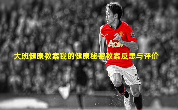 大班健康教案我的健康秘密教案反思与评价