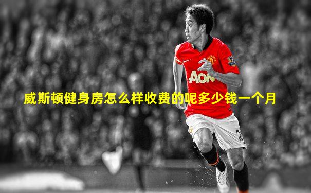威斯顿健身房怎么样收费的呢多少钱一个月