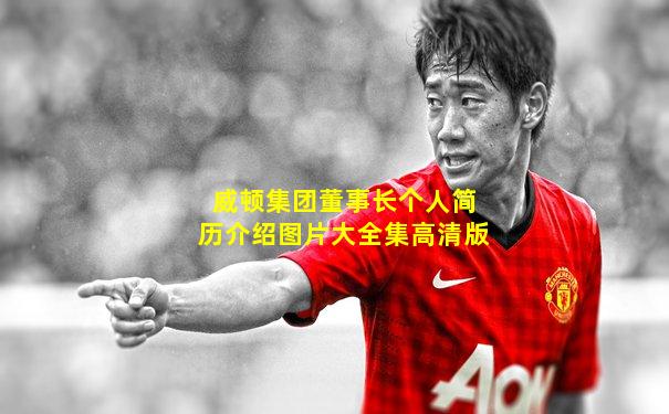威顿集团董事长个人简历介绍图片大全集高清版