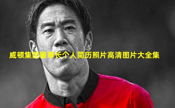 威顿集团董事长个人简历照片高清图片大全集