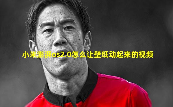 小米澎湃os2.0怎么让壁纸动起来的视频