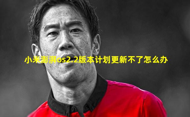 小米澎湃os2.2版本计划更新不了怎么办