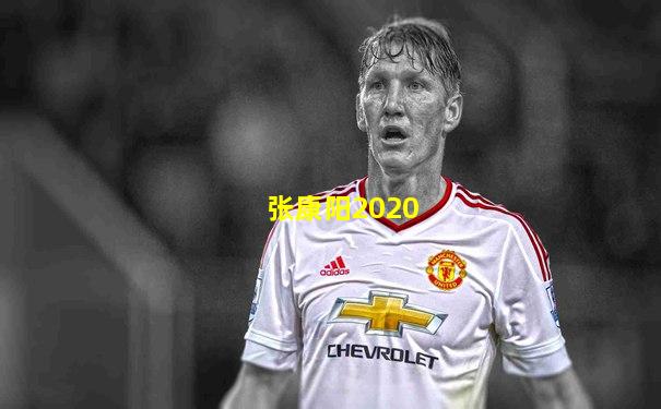 张康阳2020