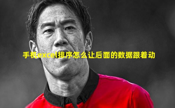 手机excel排序怎么让后面的数据跟着动