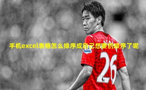 手机excel表格怎么排序成自己想要的顺序了呢