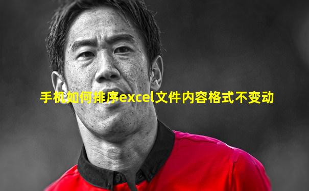 手机如何排序excel文件内容格式不变动