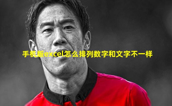 手机版excel怎么排列数字和文字不一样