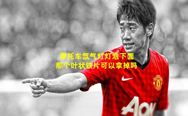 摩托车氙气灯灯泡下面那个叶状铁片可以拿掉吗