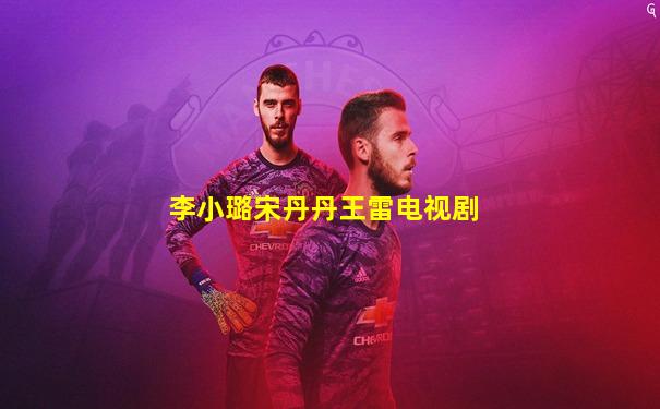 李小璐宋丹丹王雷电视剧
