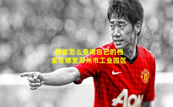 档案怎么查询自己的档案在哪里苏州市工业园区