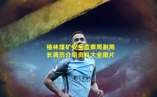 榆林煤矿安全监察局副局长简历介绍资料大全图片