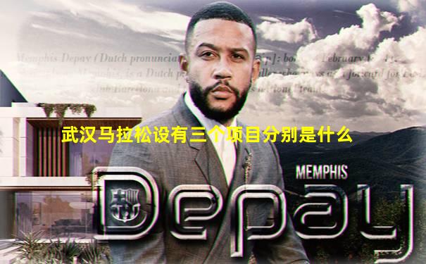 武汉马拉松设有三个项目分别是什么